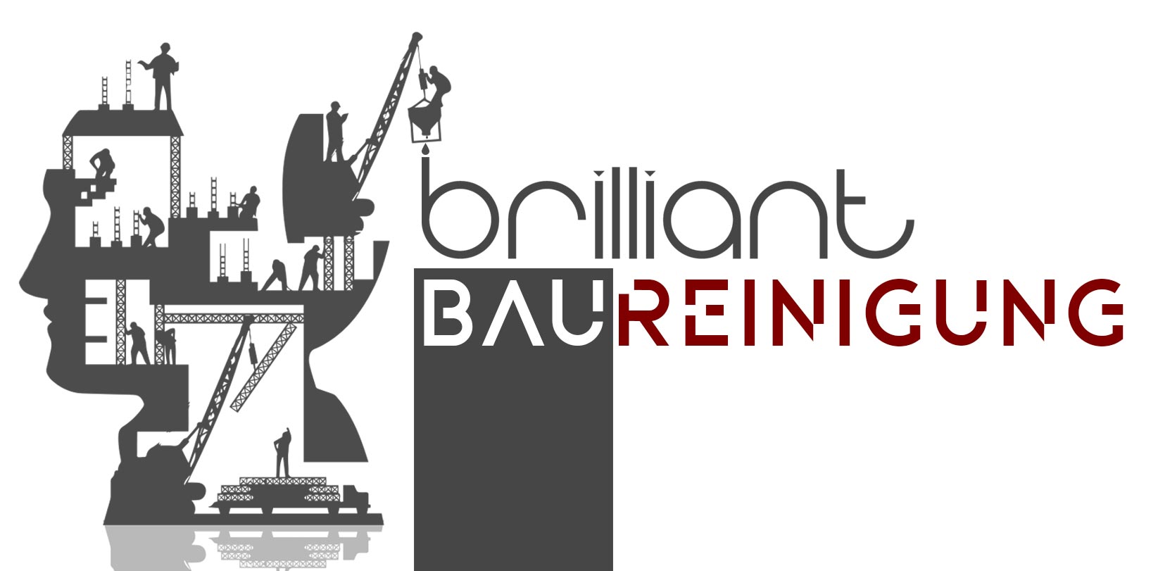 Baugrob-und-baufeinreinigung