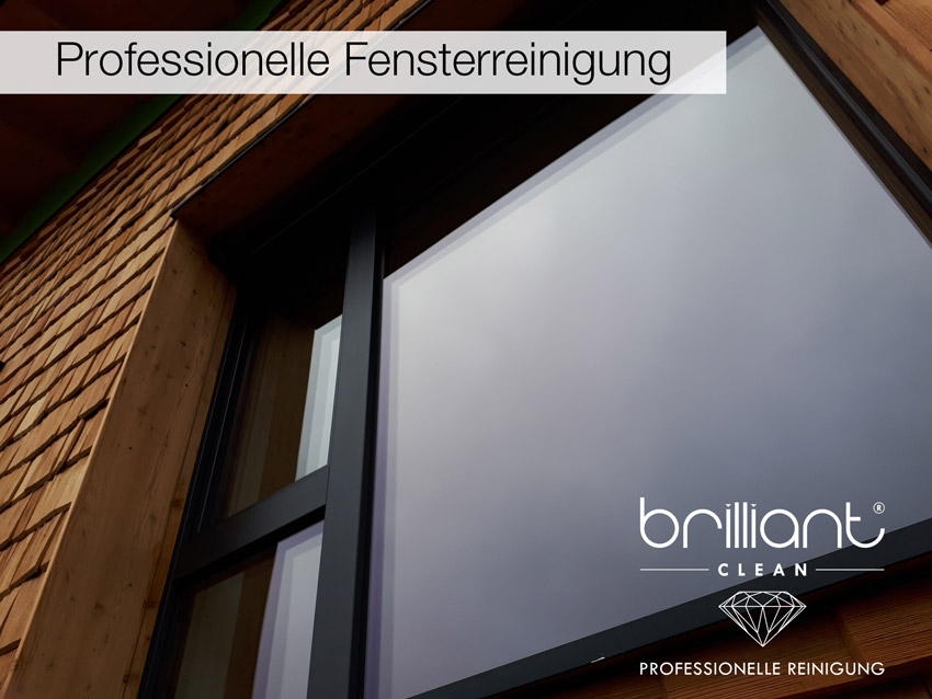 fenster-reinigung
